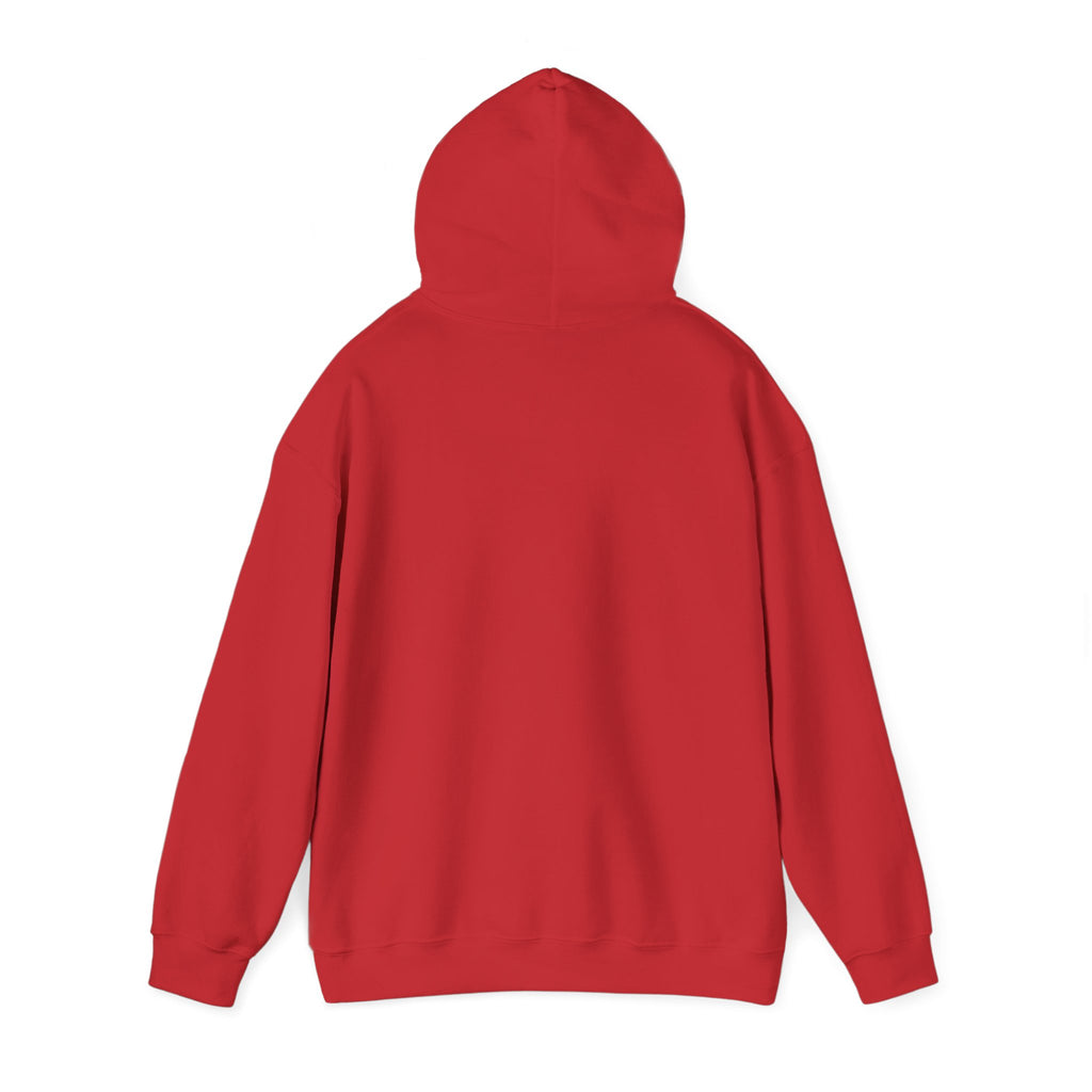 Mr. Singh Store Hoodie - Cozy Unisex Sweatshirt, Casual Wear, Unique Gift, Everyday Fashion, Perfect for All Seasons